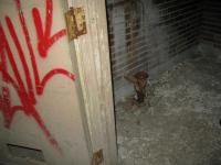 Chicago Ghost Hunters Group investigate Manteno State Hospital (84).JPG
